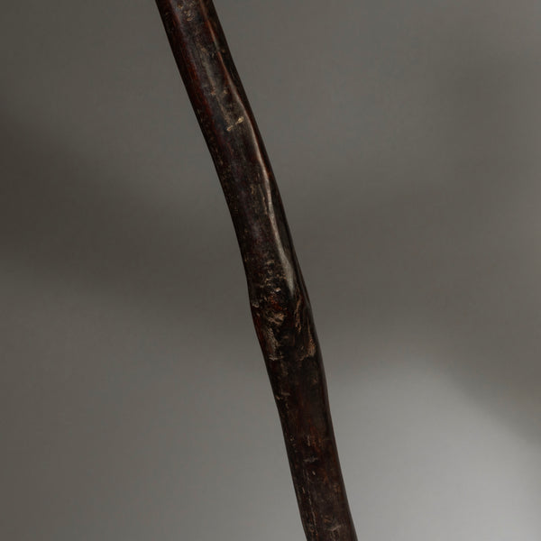A BIRD FIGURAL STAFF, GO GO TRIBE OF TANZANIA, EAST AFRICA ( No 4305 )