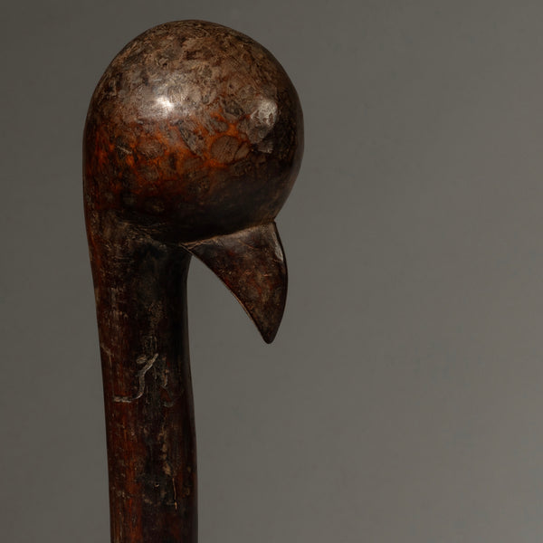 A BIRD FIGURAL STAFF, GO GO TRIBE OF TANZANIA, EAST AFRICA ( No 4305 )