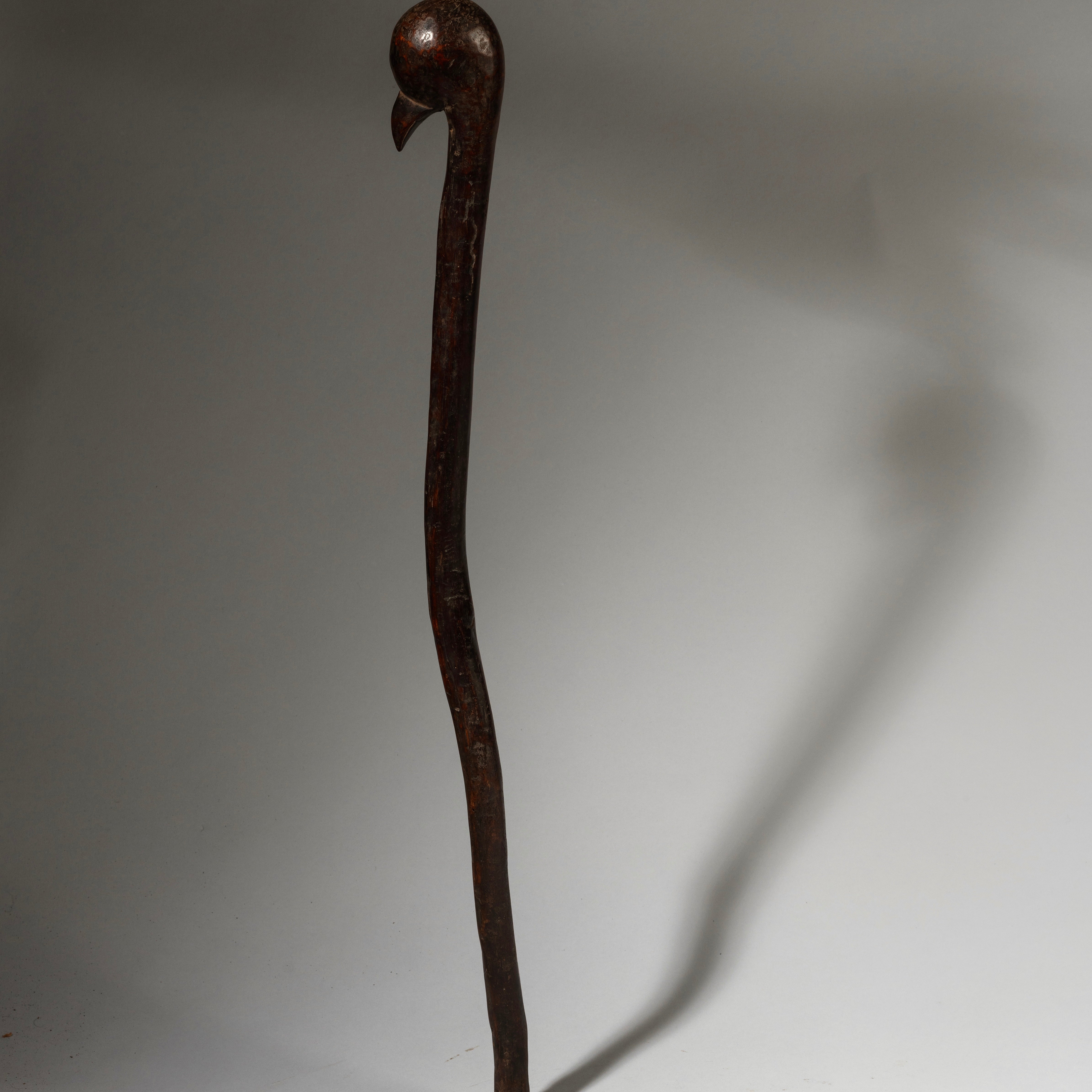 A BIRD FIGURAL STAFF, GO GO TRIBE OF TANZANIA, EAST AFRICA ( No 4305 )