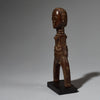 A JANUS MASK + HUMAN FACE BAULE TRIBE CATAPULT , IVORY COAST (  No 2763 )