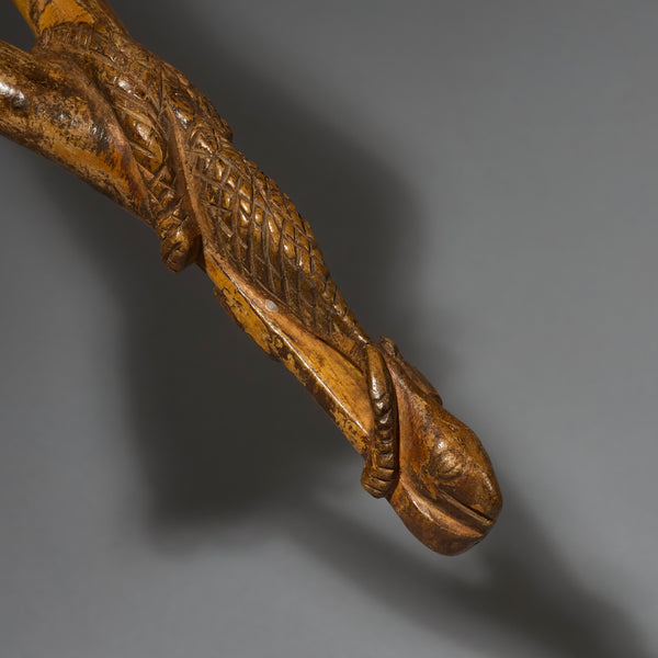 A REPTILIAN CATAPULT, BAULE TRIBE OF IVORY COAST (  No 2765 )