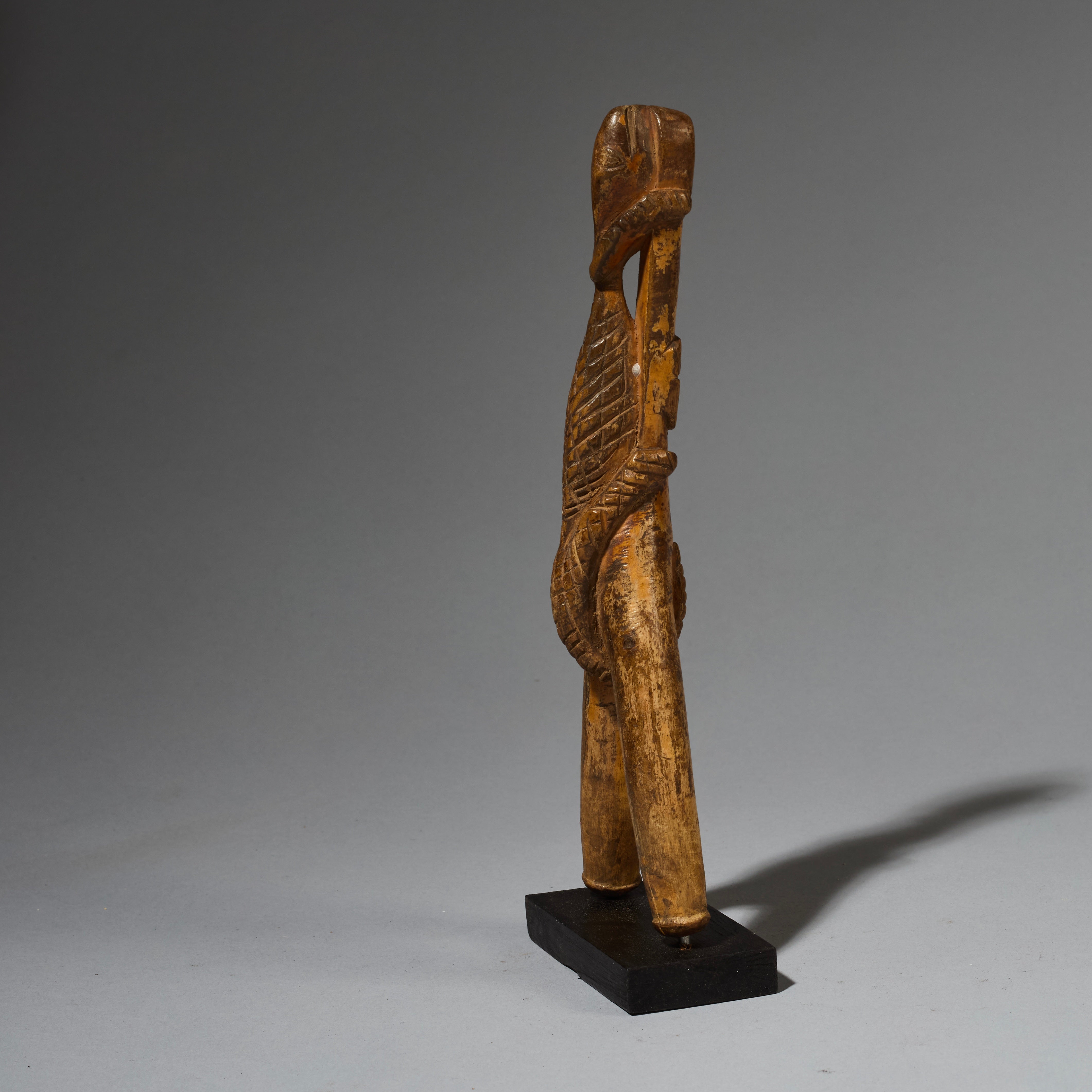 A REPTILIAN CATAPULT, BAULE TRIBE OF IVORY COAST (  No 2765 )