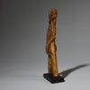 A REPTILIAN CATAPULT, BAULE TRIBE OF IVORY COAST (  No 2765 )