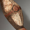 A WONDERFUL, WHITE DINKA SHIELD WITH PIGMENT DECORATION , FROM EAST AFRICA ( No 4252) (Copy)
