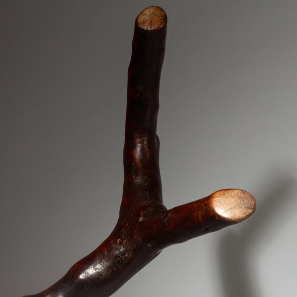 A DYNAMIC ORGANIC HEADREST FROM THE RENDILLE TRIBE OF KENYA  (No 4249 )