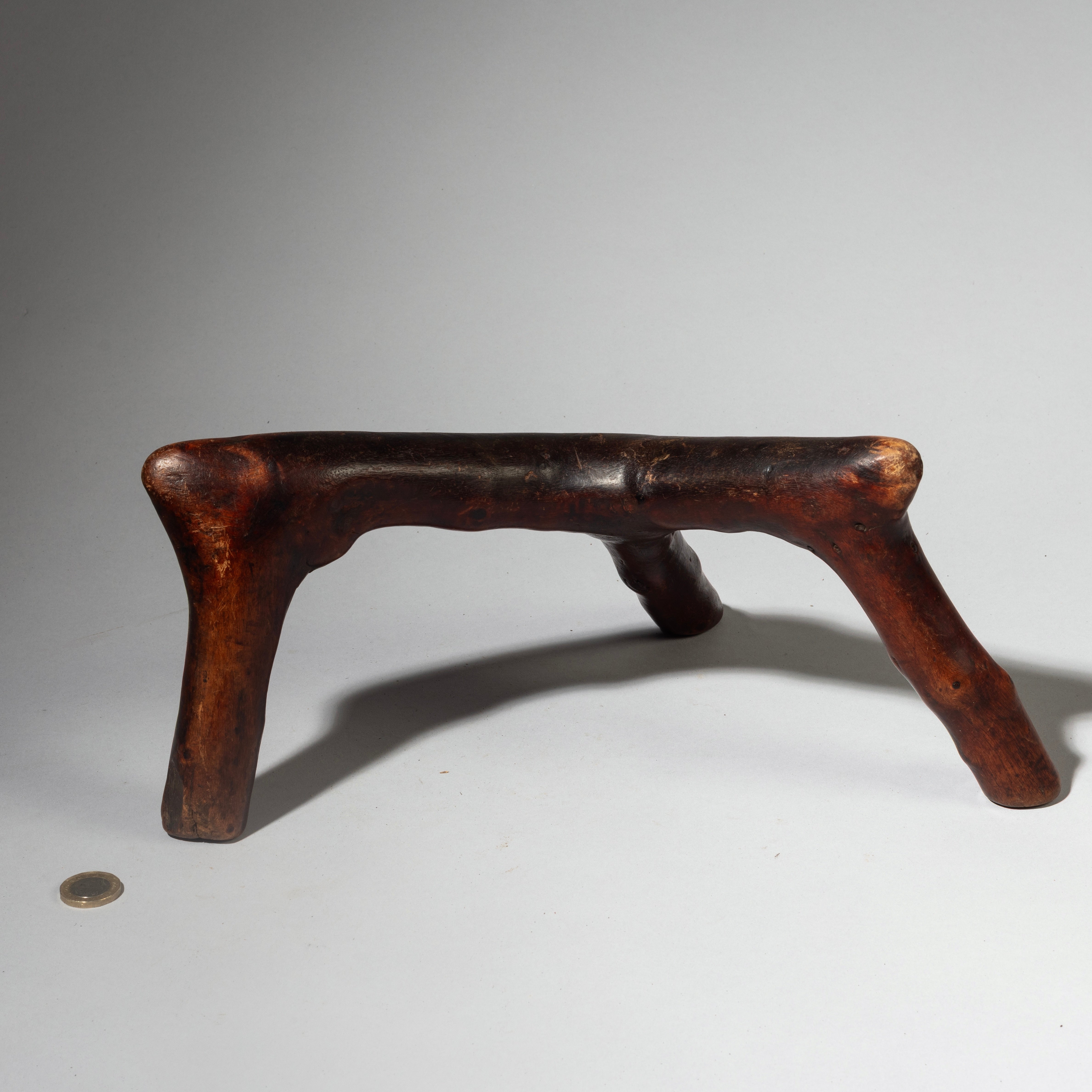 A DYNAMIC ORGANIC HEADREST FROM THE RENDILLE TRIBE OF KENYA  (No 4249 )
