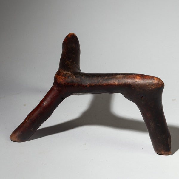 A DYNAMIC ORGANIC HEADREST FROM THE RENDILLE TRIBE OF KENYA  (No 4249 )