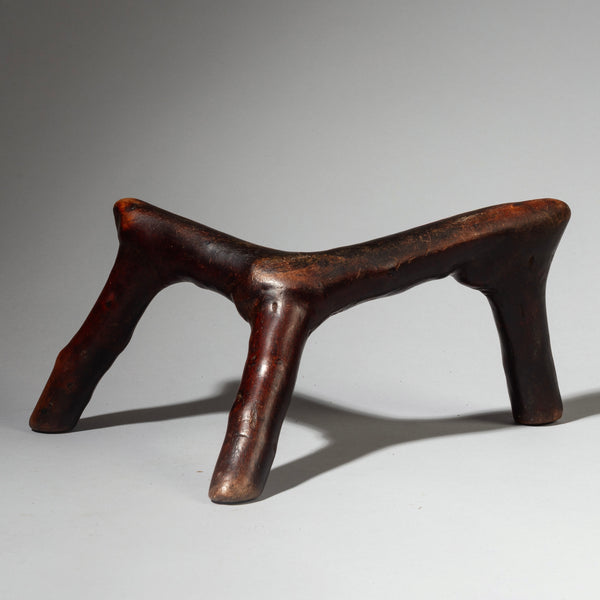 A DYNAMIC ORGANIC HEADREST FROM THE RENDILLE TRIBE OF KENYA  (No 4249 )