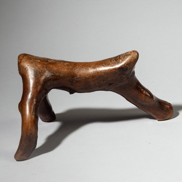 A LOVELY TACTILE ORGANIC HEADREST FROM THE RENDILLE TRIBE OF KENYA  (No 4251 )