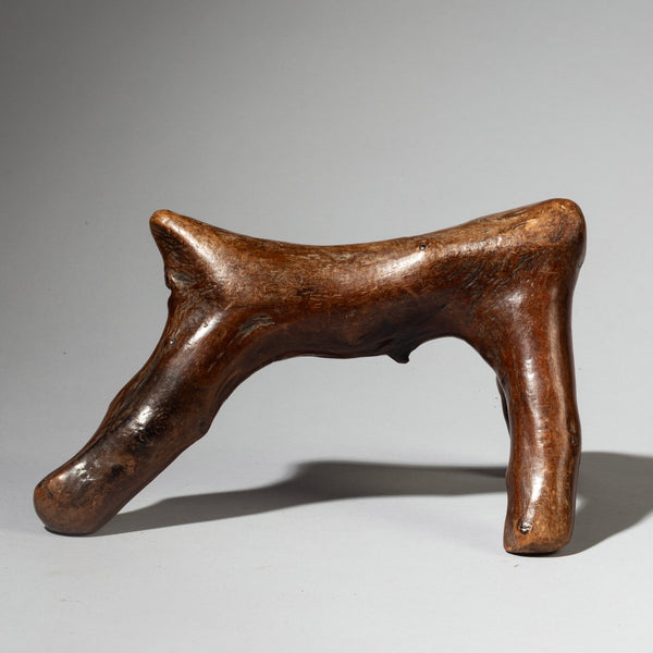 A LOVELY TACTILE ORGANIC HEADREST FROM THE RENDILLE TRIBE OF KENYA  (No 4251 )