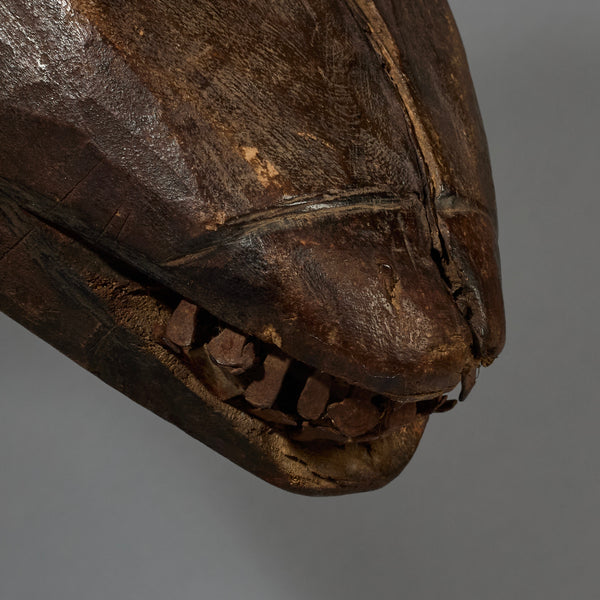 A RESONANT MONKEY MASK, BAMBARA TRIBE MALI, W. AFRICA  ( No 2810 )