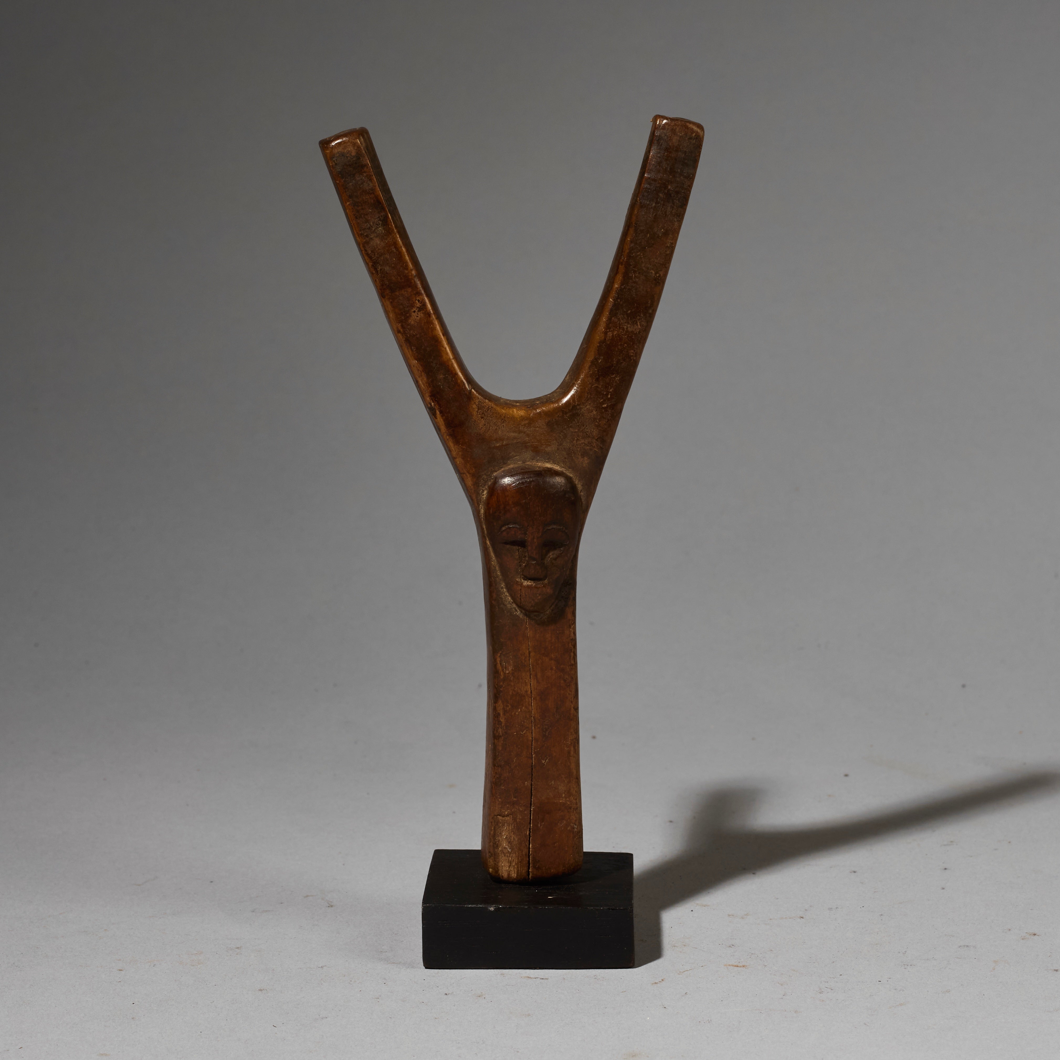 A SILKY CATAPULT FROM THE BAULE TRIBE OF THE IVORY COAST W.AFRICA ( No 2570 )