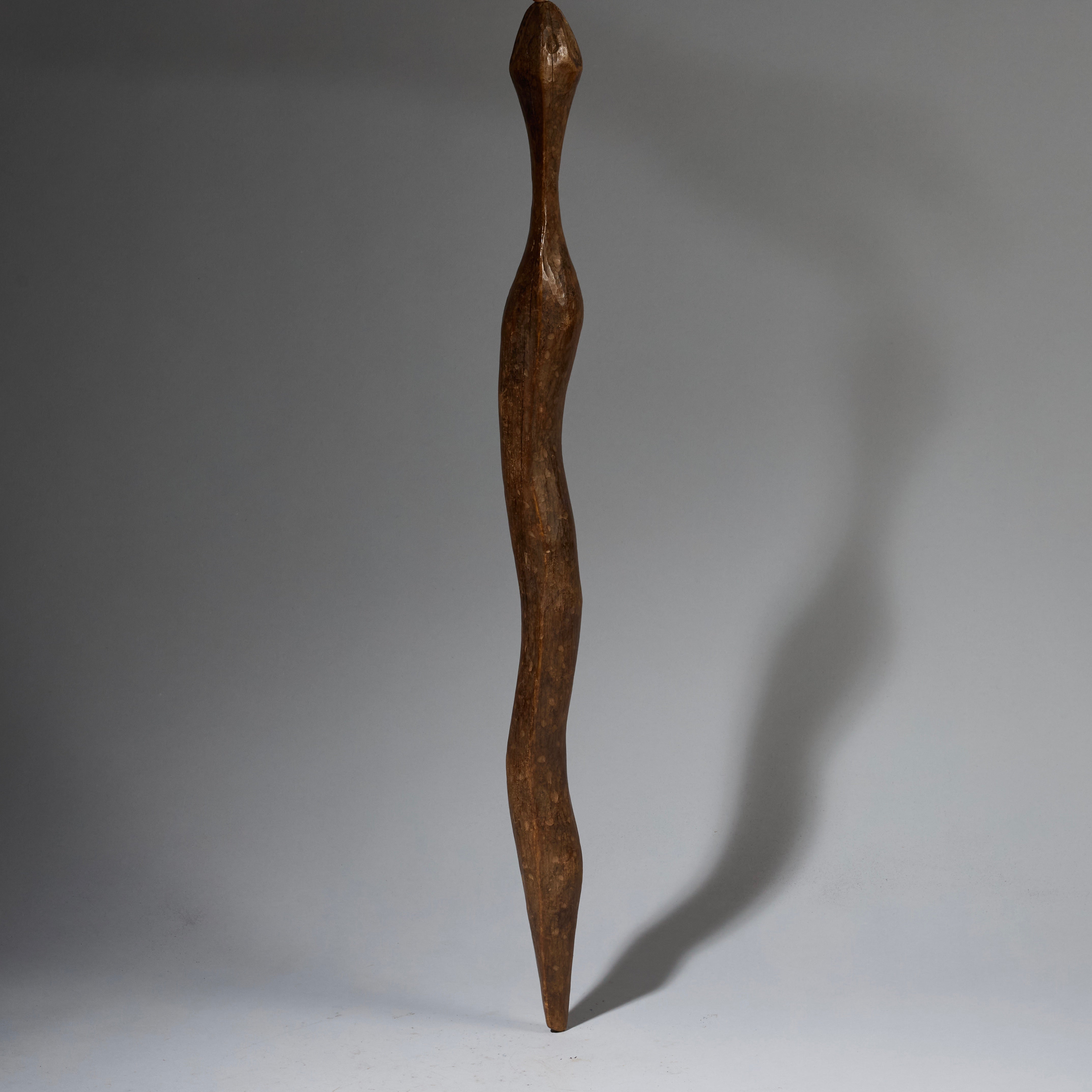 A LARGE WOODEN SNAKE TALISMAN, BAULE TRIBE IVORY COAST ( No 2829 )