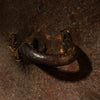 A SCULPTURAL LEATHER SHIELD, FROM ETHIOPIA EAST AFRICA EX UK COLL. ( No 4372 )