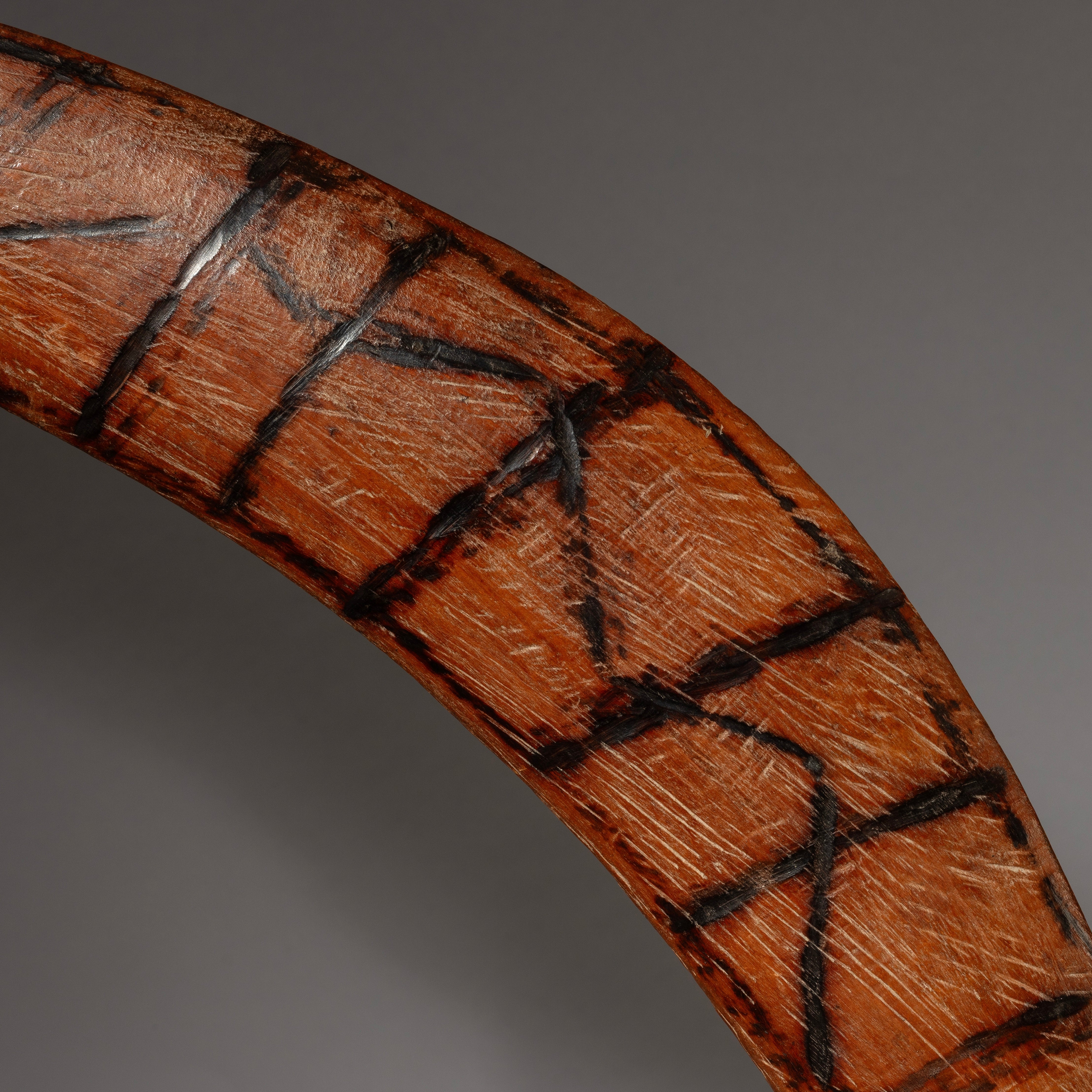 A BURNISHED ABORIGINAL BOOMERANG FROM AUSTRALIA ( No 4350)