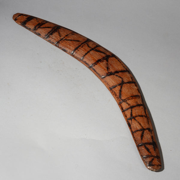 A BURNISHED ABORIGINAL BOOMERANG FROM AUSTRALIA ( No 4350)