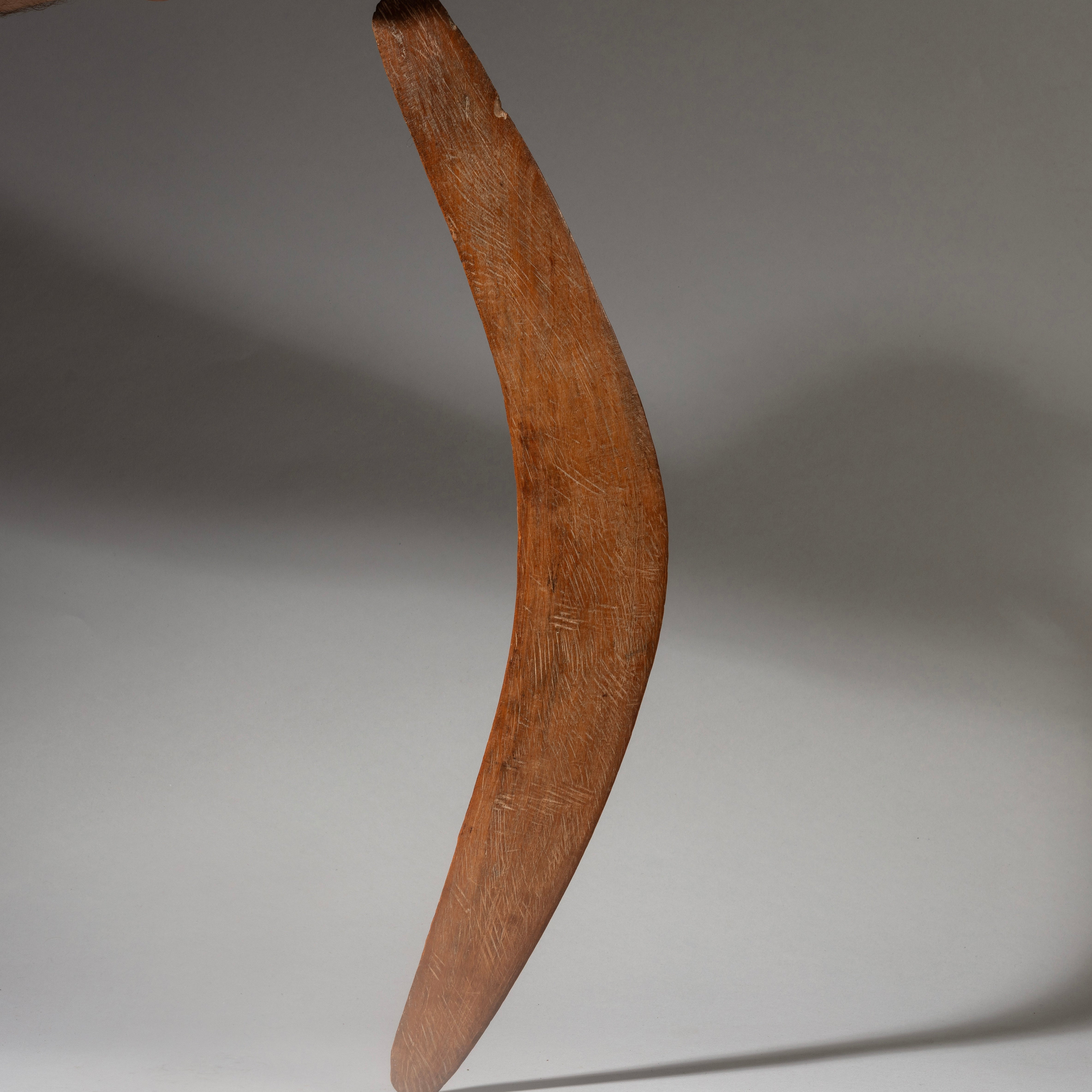 A BURNISHED ABORIGINAL BOOMERANG FROM AUSTRALIA ( No 4350)