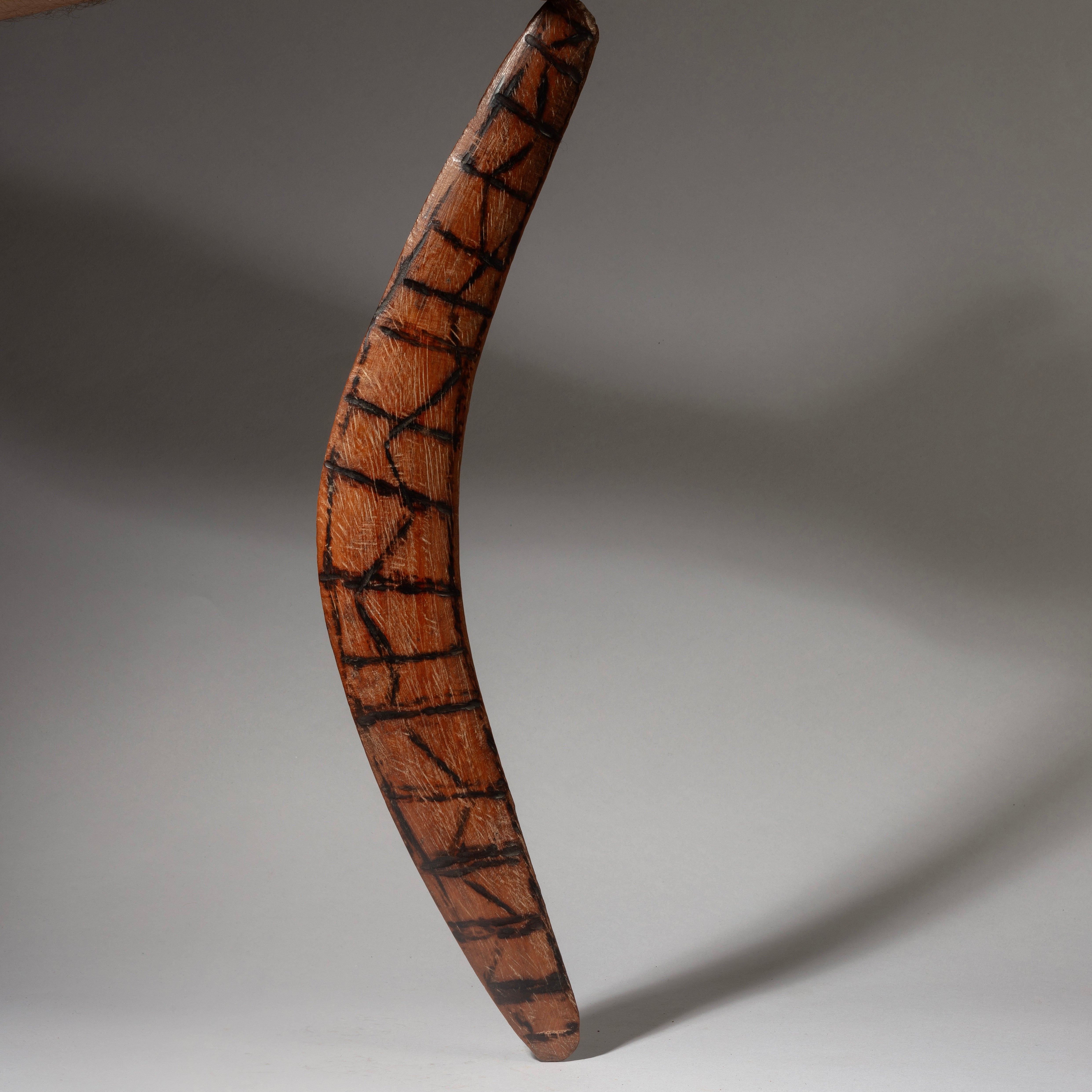 A BURNISHED ABORIGINAL BOOMERANG FROM AUSTRALIA ( No 4350)