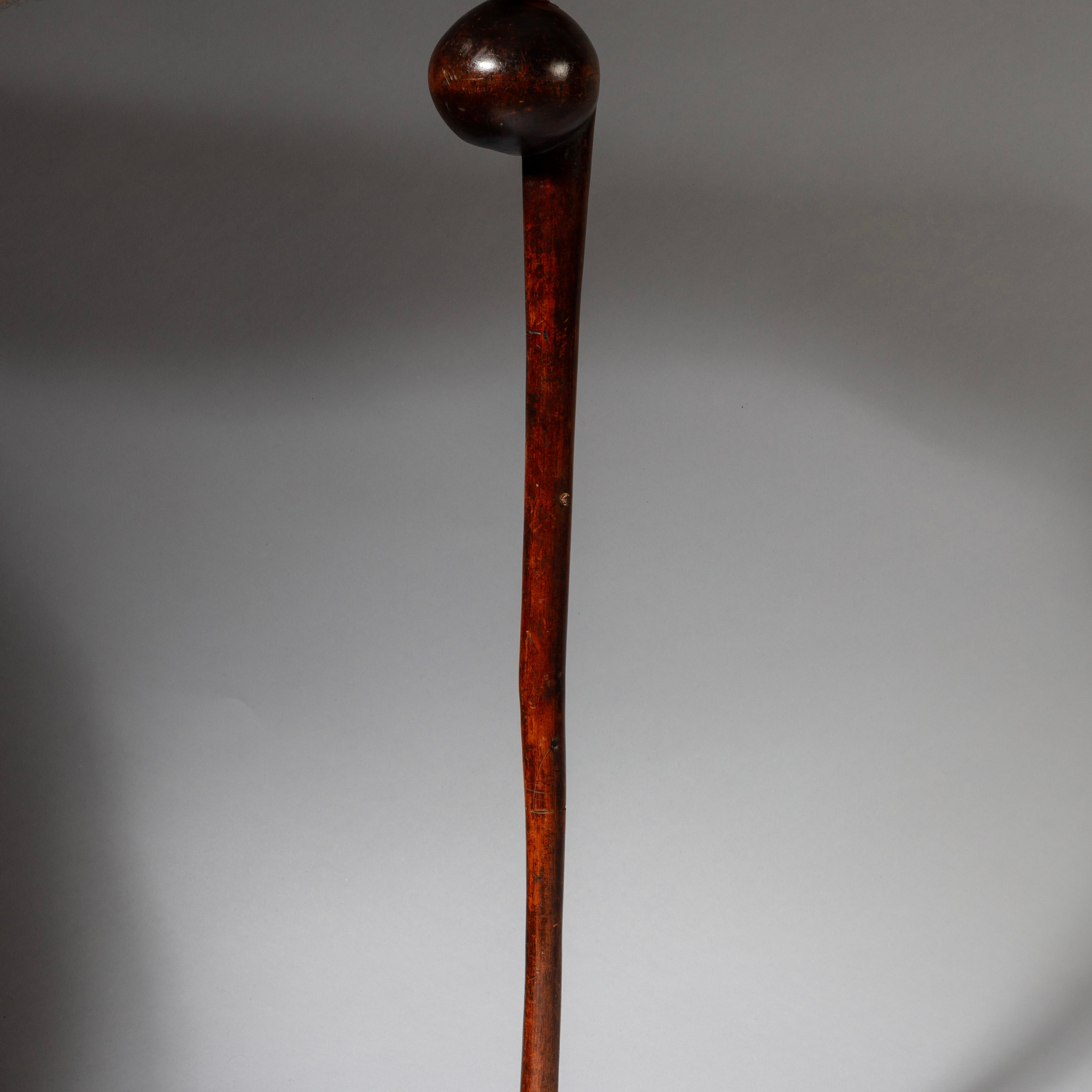 A RARE FORM 19THC WOODEN KNOBKERRIE , FROM ZULU TRIBE OF SOUTH AFRICA EX UK COLL. ( No 4373 )