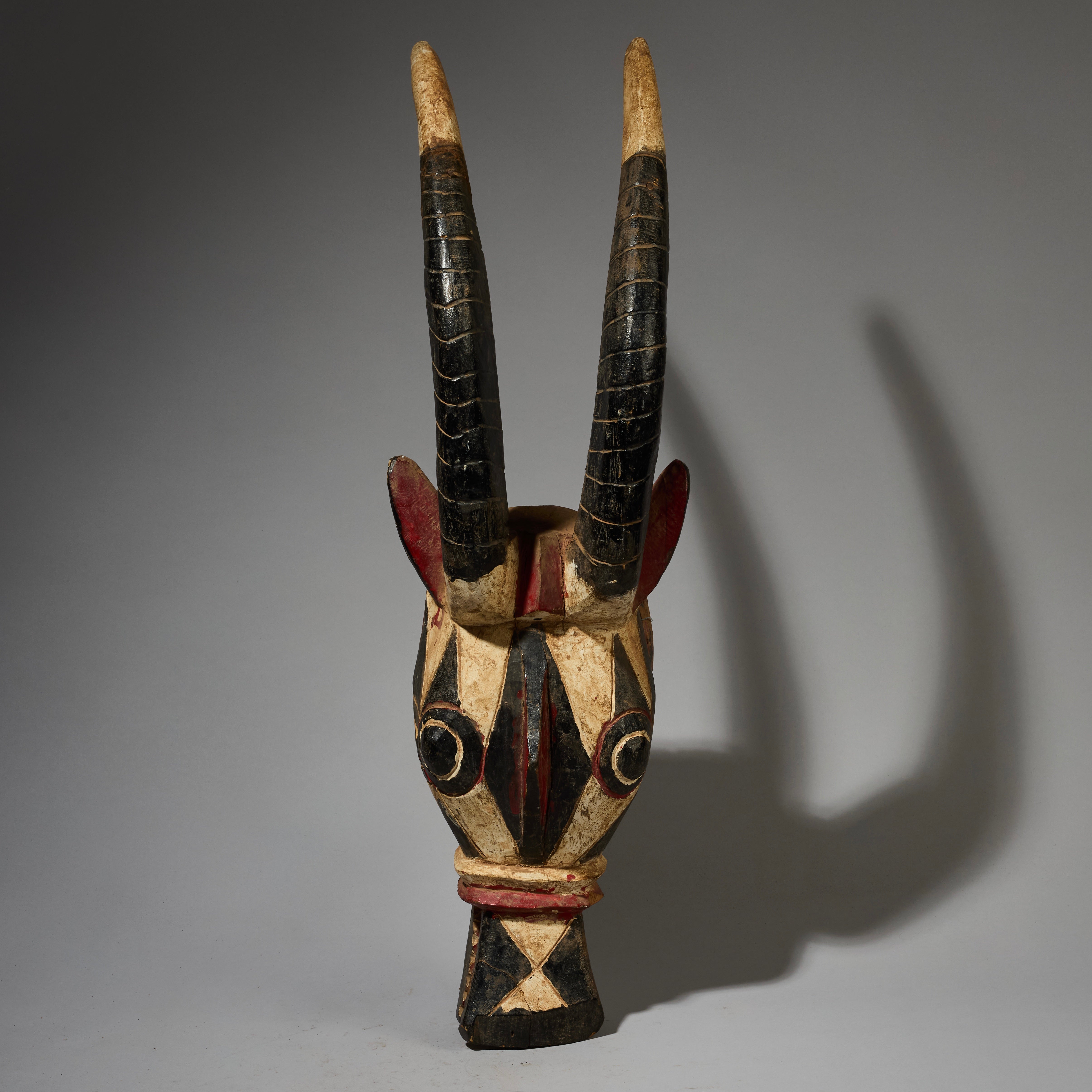 A SHAPELY LARGE BLACK WHITE +RED ANTELOPE MASK FROM THE MOSSI TRIBE OF BURKINA FASO ( No 2820 )