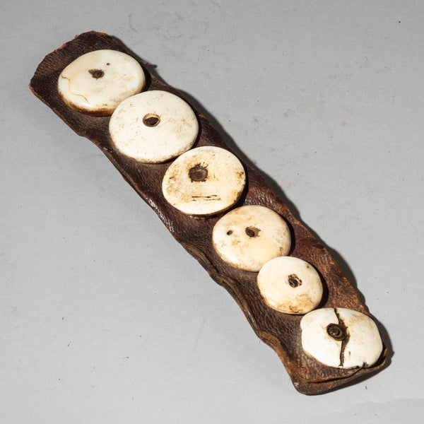 AN OLD CURRENCY SHELL LEATHER BELT FRAGMENT FROM THE HIMBA TRIBE NAMIBIA SW AFRICA ( No 4334 )