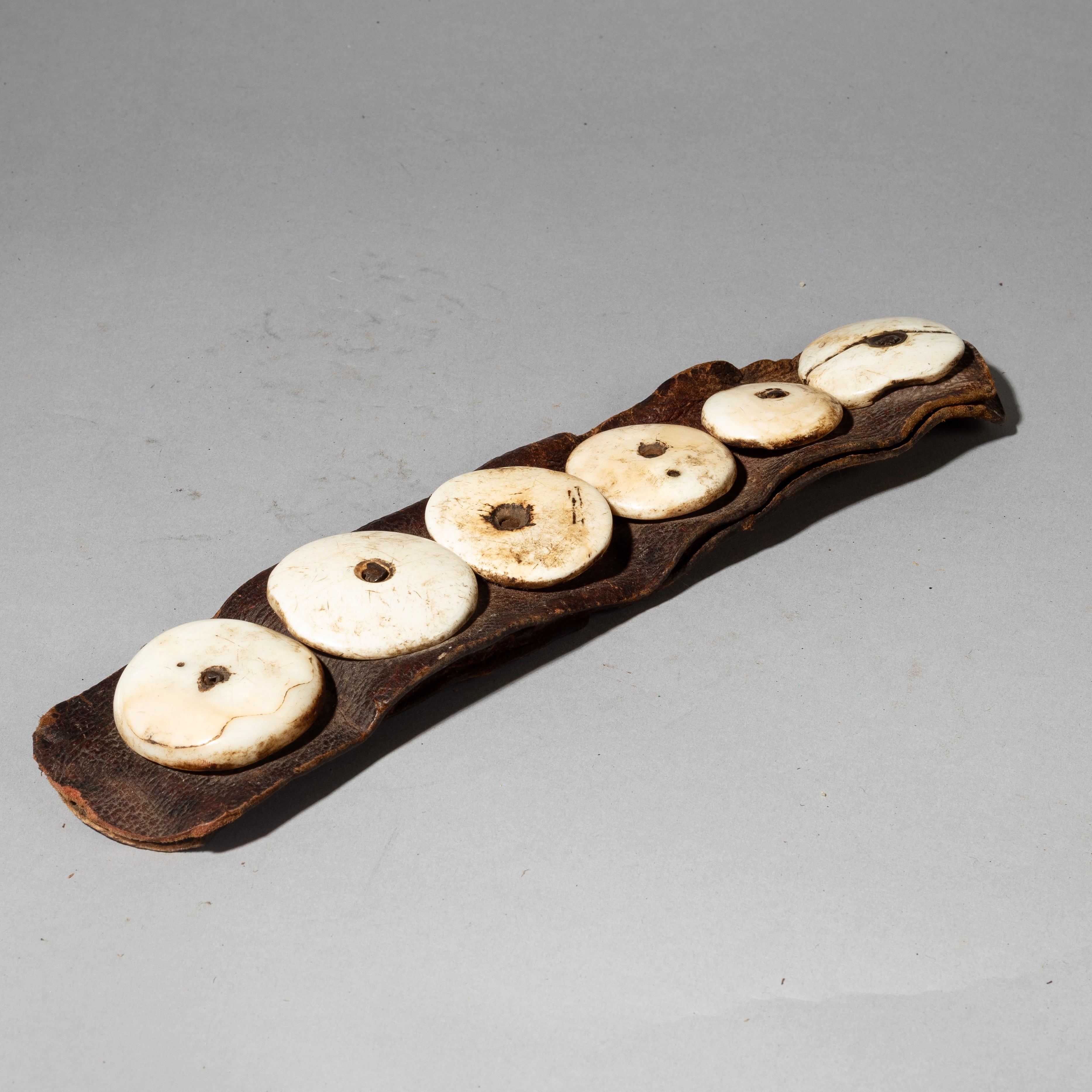 AN OLD CURRENCY SHELL LEATHER BELT FRAGMENT FROM THE HIMBA TRIBE NAMIBIA SW AFRICA ( No 4334 )