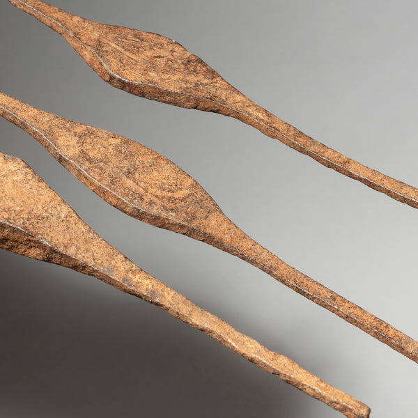 A SET OF 3 IRON CURRENCY ITEMS FROM MUMUYE TRIBE NIGERIA, WEST AFRICA ( No 4320 )