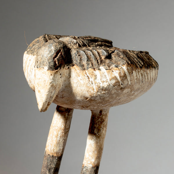 AN UNEXPECTED BIRD NATURE SPIRIT, ADAN TRIBE GHANA ( No 4387)