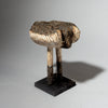 AN UNEXPECTED BIRD NATURE SPIRIT, ADAN TRIBE GHANA ( No 4387)