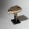 AN UNEXPECTED BIRD NATURE SPIRIT, ADAN TRIBE GHANA ( No 4387)