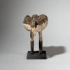AN UNEXPECTED BIRD NATURE SPIRIT, ADAN TRIBE GHANA ( No 4387)