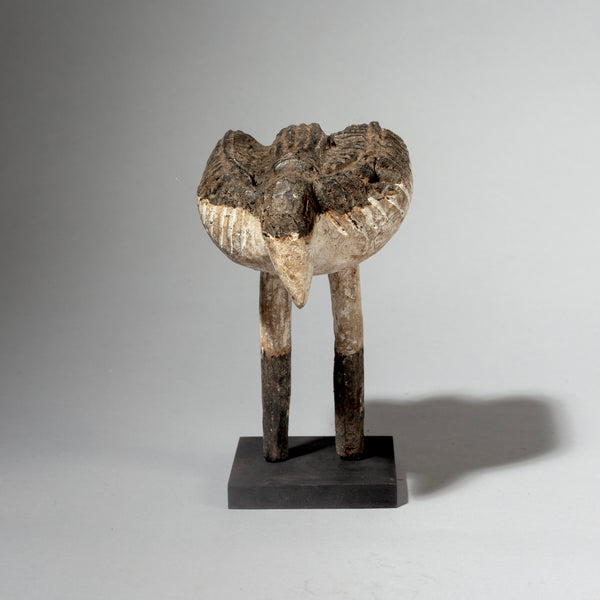AN UNEXPECTED BIRD NATURE SPIRIT, ADAN TRIBE GHANA ( No 4387)