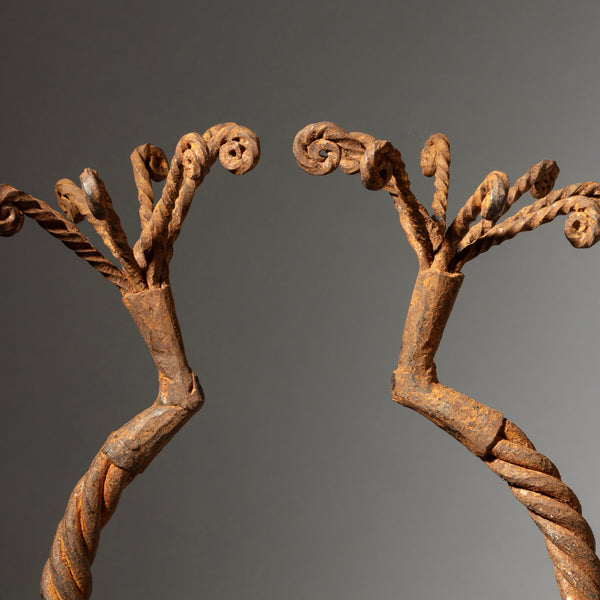 A SCULPTURAL IRON TORQUE CURRENCY CAMEROON, WEST AFRICA ( No 4319 )