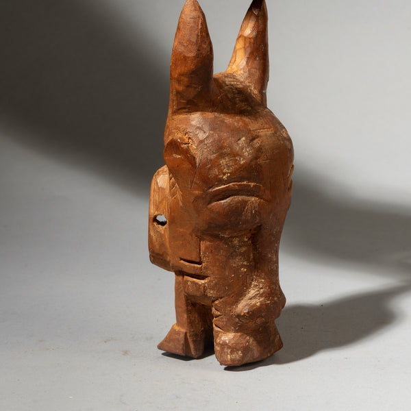 A SCULPTURAL BAULE BUFFALO PASSPORT MASK FROM THE IVORY COAST W AFRICA ( No 4445 )