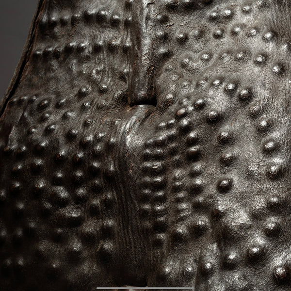 A STUNNING DINKA TRIBE  DIMPLE SHIELD EX UK COLLECTION  [ No 4454]