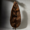 A STUNNING DINKA TRIBE  DIMPLE SHIELD EX UK COLLECTION  [ No 4454]