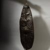 A STUNNING DINKA TRIBE  DIMPLE SHIELD EX UK COLLECTION  [ No 4454]