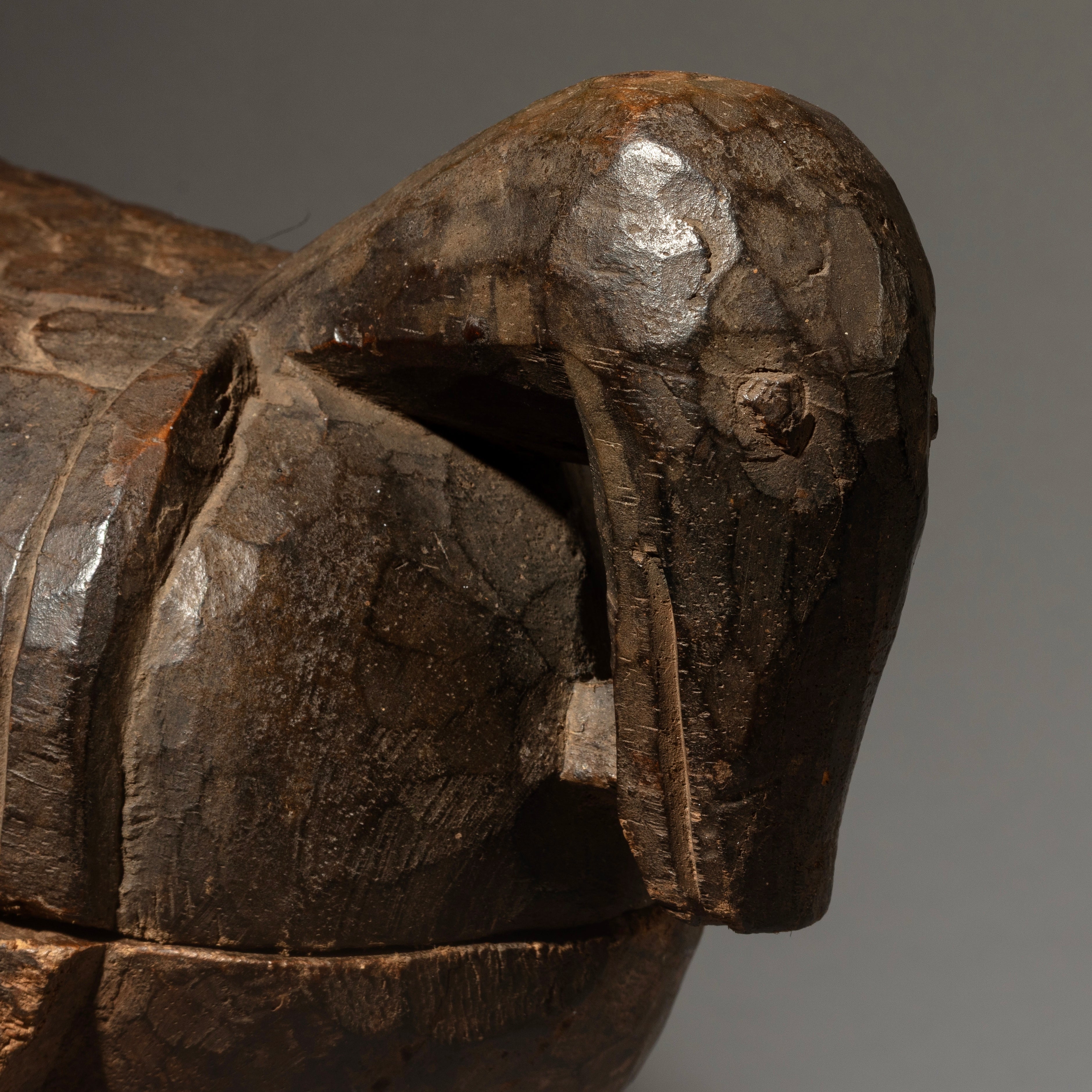 A RARE KOLA NUT CONTAINER IN THE FORM OF A BIRD, YORUBA TRIBE NIGERIA ( No 4536 )