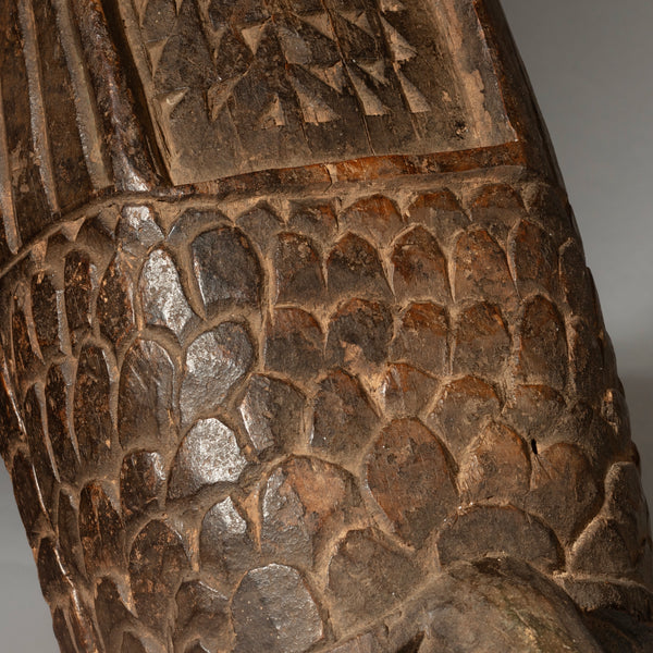 A RARE KOLA NUT CONTAINER IN THE FORM OF A BIRD, YORUBA TRIBE NIGERIA ( No 4536 )