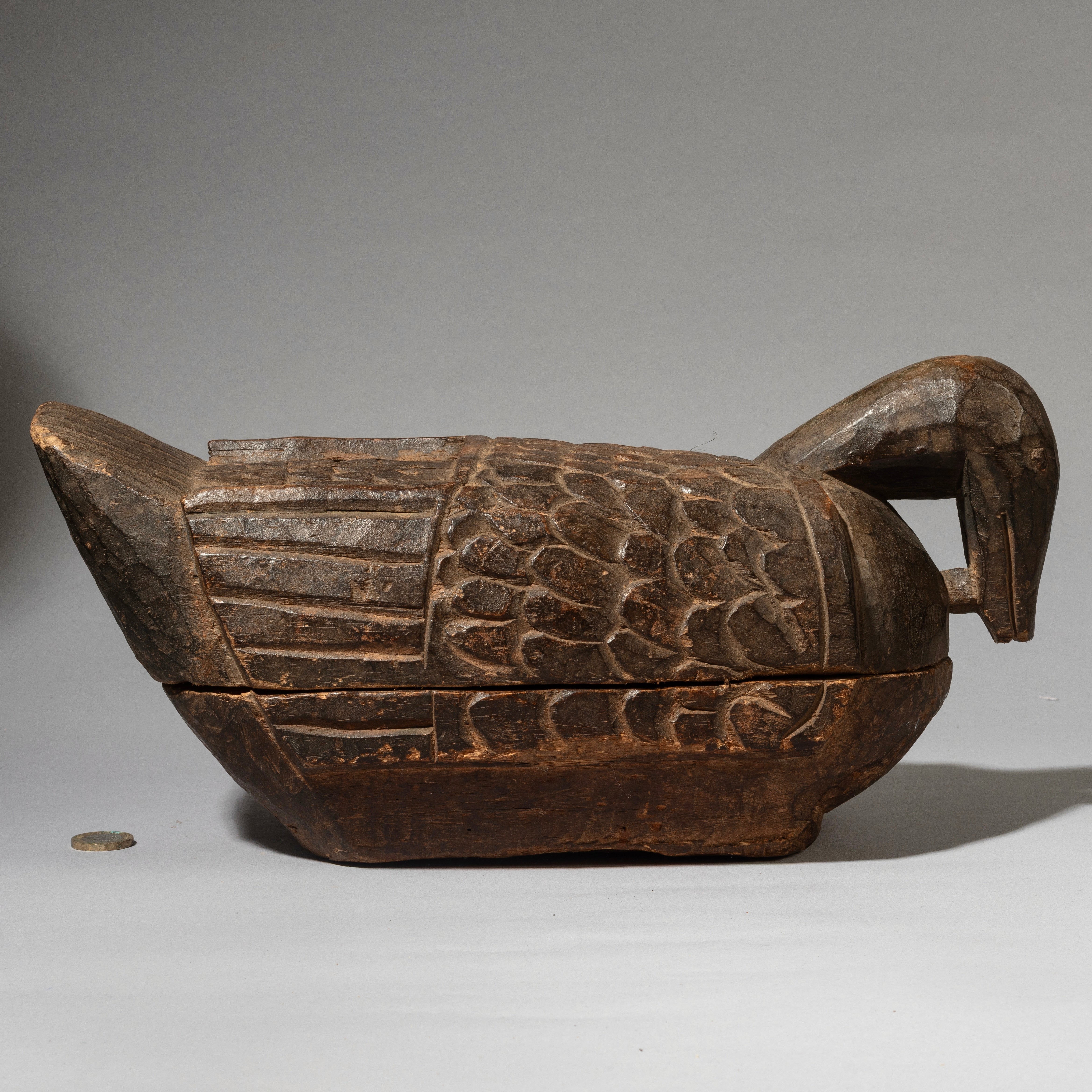 A RARE KOLA NUT CONTAINER IN THE FORM OF A BIRD, YORUBA TRIBE NIGERIA ( No 4536 )