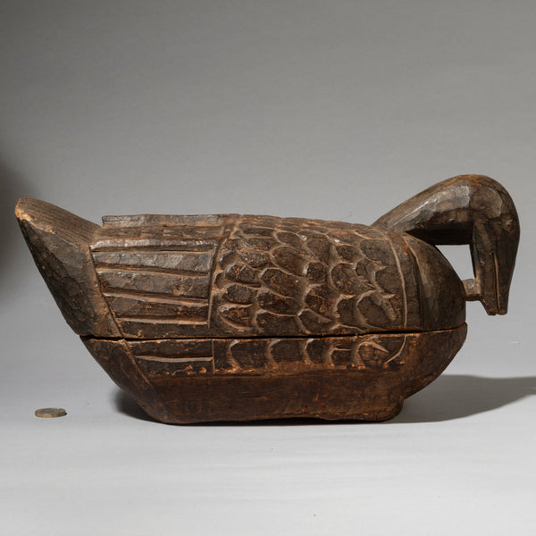 A RARE KOLA NUT CONTAINER IN THE FORM OF A BIRD, YORUBA TRIBE NIGERIA ( No 4536 )