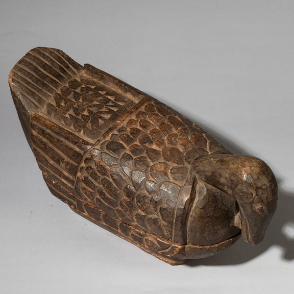 A RARE KOLA NUT CONTAINER IN THE FORM OF A BIRD, YORUBA TRIBE NIGERIA ( No 4536 )