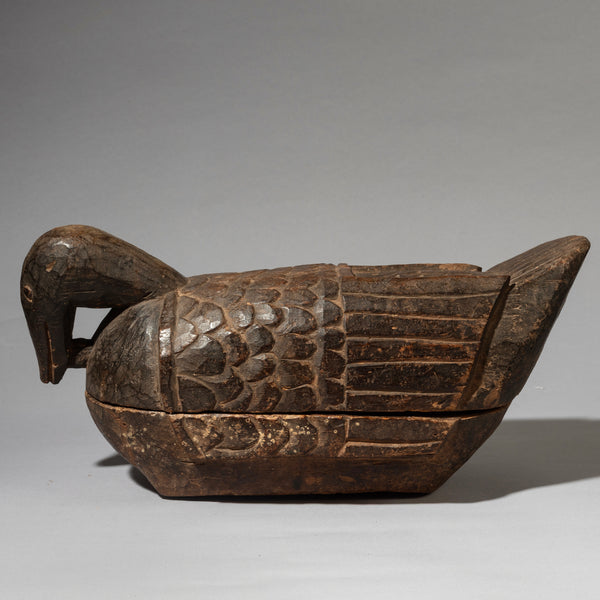 A RARE KOLA NUT CONTAINER IN THE FORM OF A BIRD, YORUBA TRIBE NIGERIA ( No 4536 )