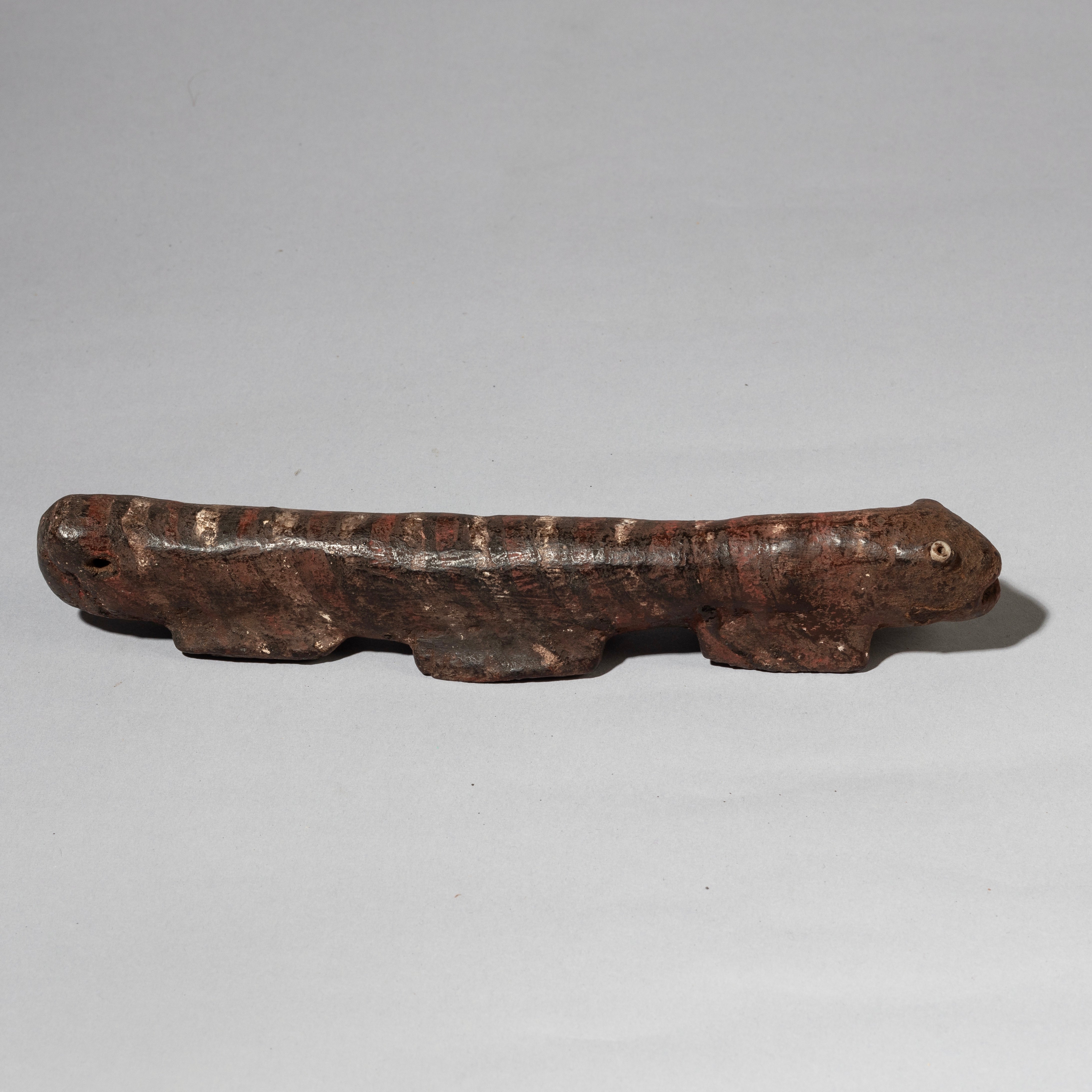 A STYLISED CATERPILLAR FETISH FROM THE PARE TRIBE OF TANZANIA EAST AFRICA( No 4483 )
