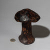 A CLAY MUSHROOM FETISH FROM THE PARE TRIBE OF TANZANIA EAST AFRICA( No 4484 )