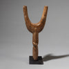 A LIKEABLE BAULE  CATAPULT FROM THE IVORY COAST, W.AFRICA ( No 4459 )