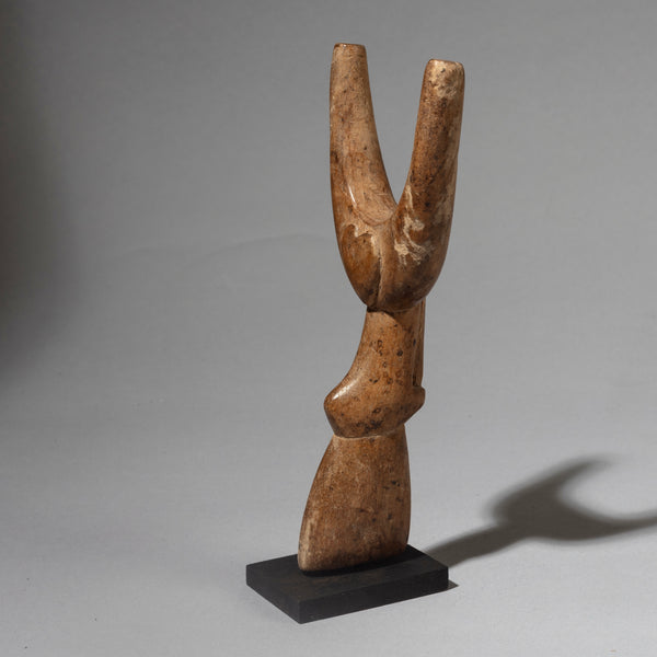 A LIKEABLE BAULE  CATAPULT FROM THE IVORY COAST, W.AFRICA ( No 4459 )