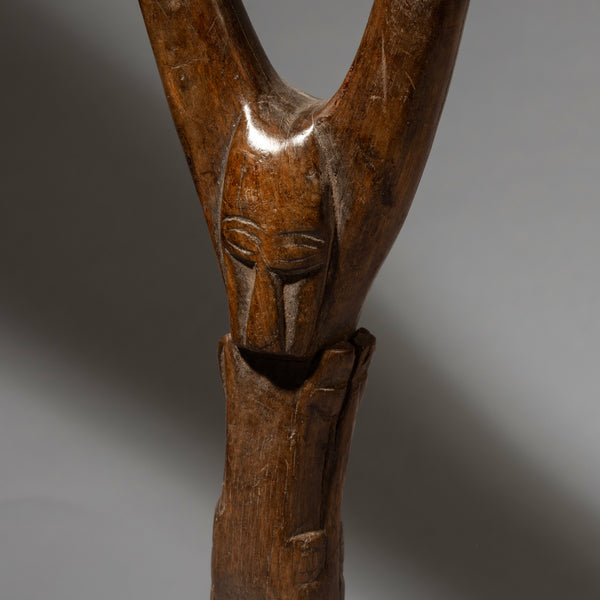 A WELL PATINATED BAULE TRIBE CATAPULT , IVORY COAST (  No 4460 )