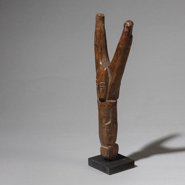 A WELL PATINATED BAULE TRIBE CATAPULT , IVORY COAST (  No 4460 )