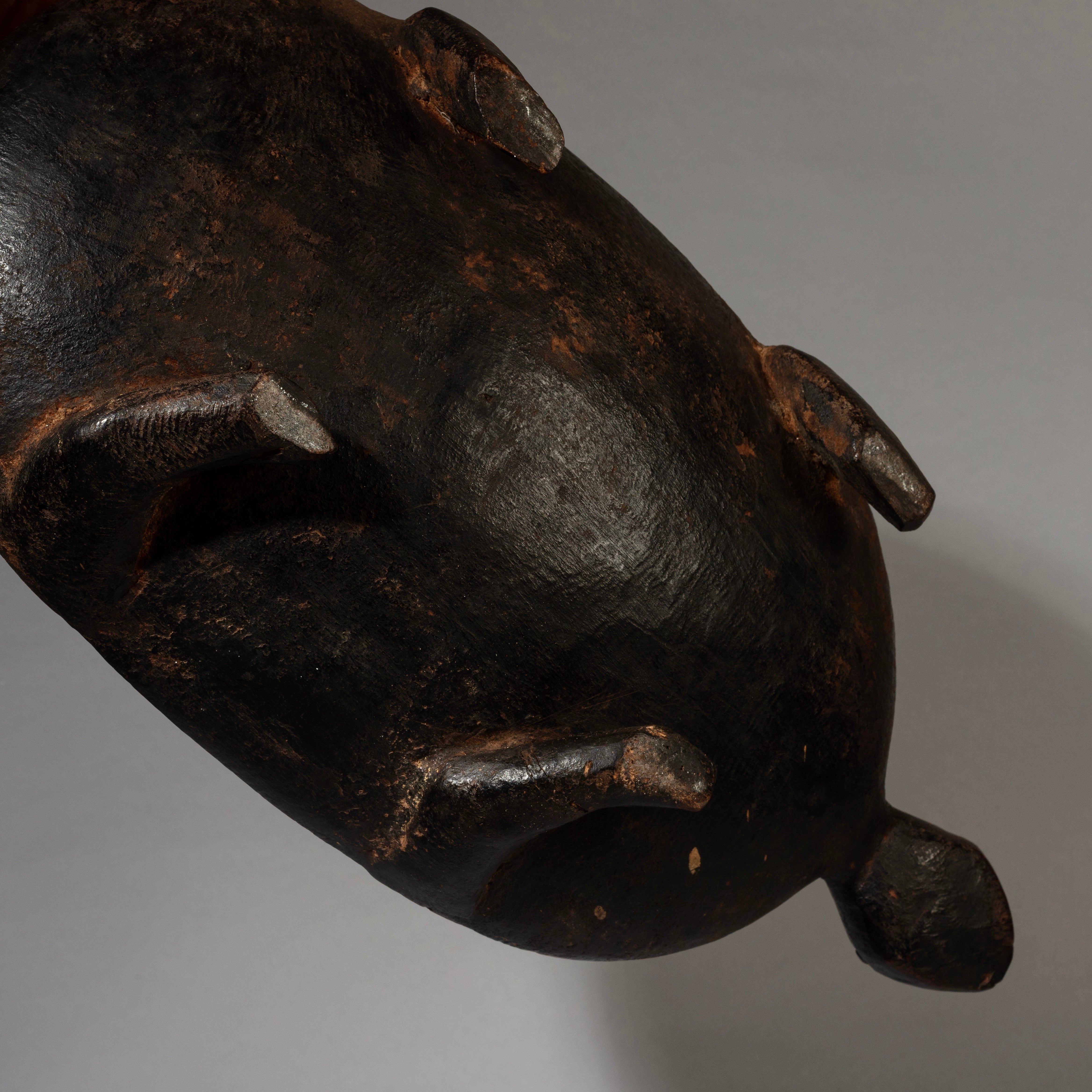 A FINE TURTLE FOOD BOWL FROM LOZI TRIBE ZAMBIA( No 4538 )